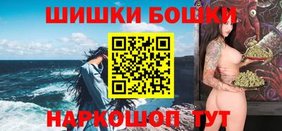 индика Нягань