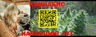 индика Нягань