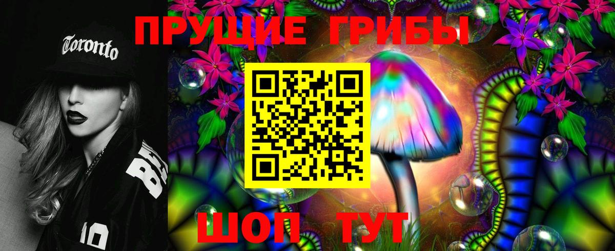 Среднеуральск  Галлюциногенные грибы GOLDEN TEACHER  Вход с VPN  где найти   Псилоцибиновые грибы мицелий 